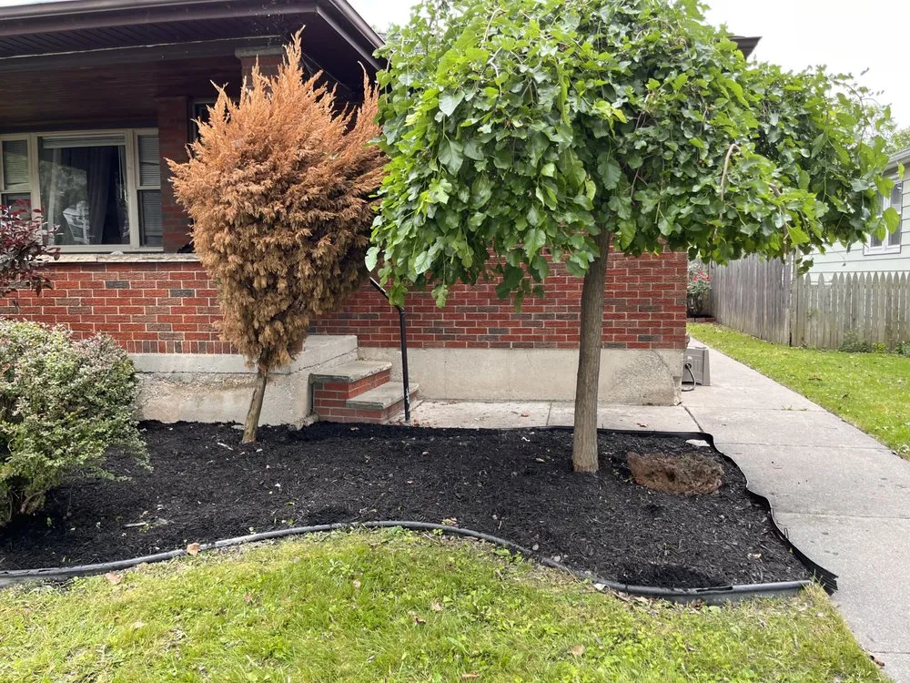 Trusted residential landscaping experts serving Niagara Falls, NY - Alder-Conn Landscaping