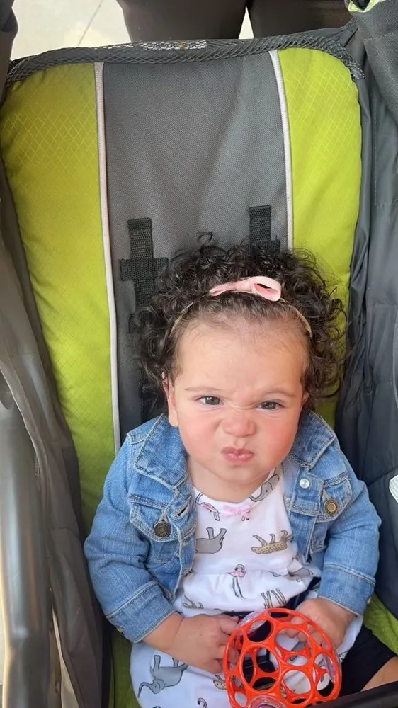 Trusted landscape design for homes in Niagara Falls, NY by Alder-Conn Landscaping