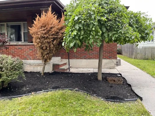 Alder-Conn Landscaping Logo