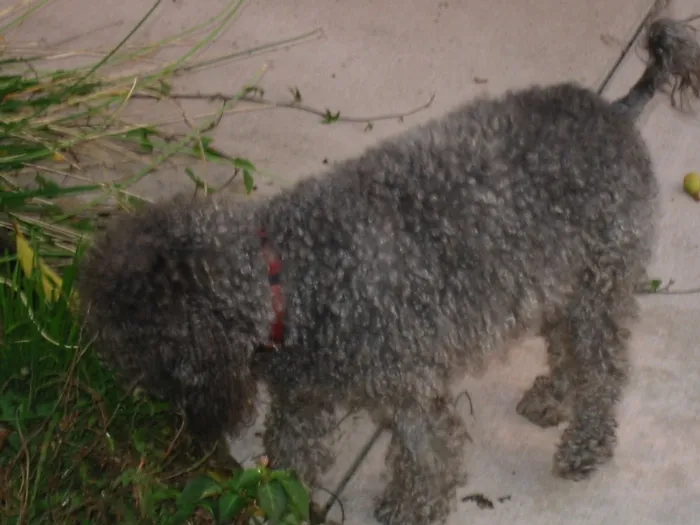 Reliable landscape design in Klamath Falls, OR - Alder Creek Landscaping