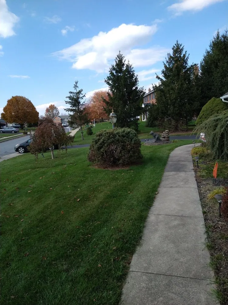 Expert landscape design experts serving Barto, PA - Alderfer Lawn and Landscape