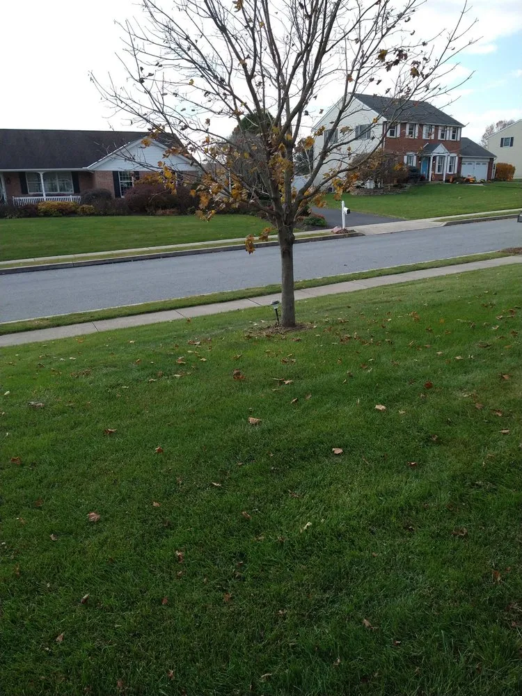 Custom outdoor landscaping near you across Barto, PA - Alderfer Lawn and Landscape