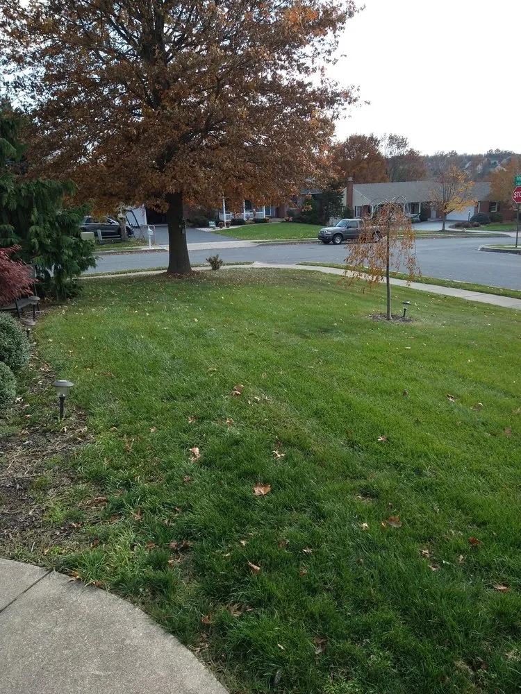 Trusted outdoor landscaping in Barto, PA - Alderfer Lawn and Landscape
