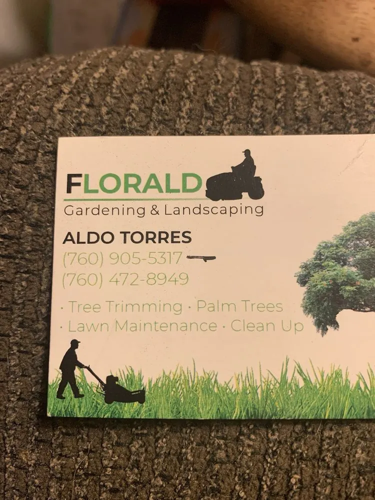 Expert lawn mowing service in Thousand Palms, CA by Aldo Torres Gardening And Landscaping