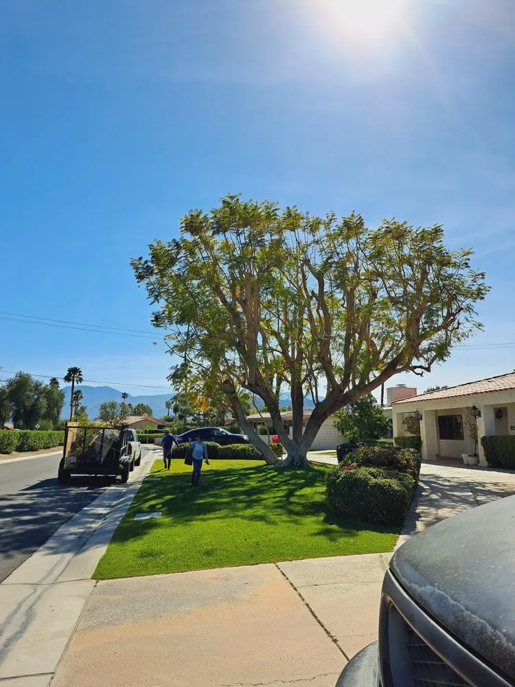 Affordable lawn care service near you in Thousand Palms, CA by Aldo Torres Gardening And Landscaping