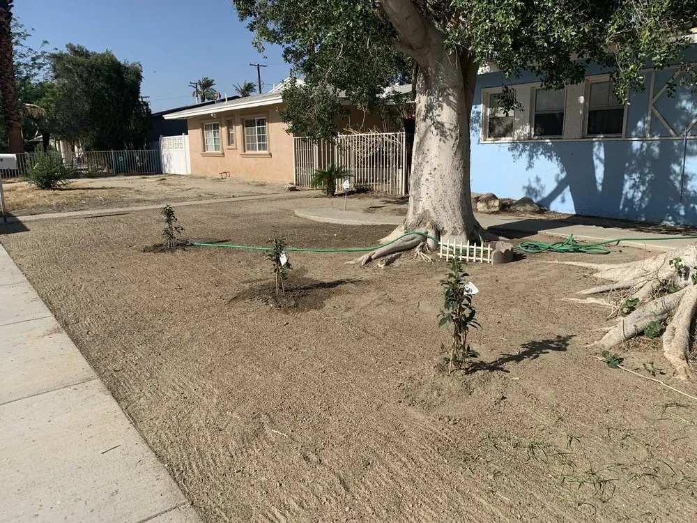 Affordable outdoor landscaping in Thousand Palms, CA - Aldo Torres Gardening And Landscaping