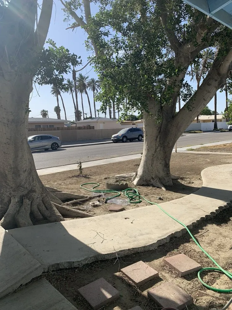 Trusted garden landscaping in Thousand Palms, CA by Aldo Torres Gardening And Landscaping