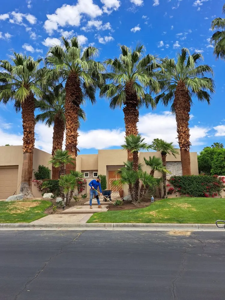 Trusted yard maintenance in Thousand Palms, CA by Aldo Torres Gardening And Landscaping