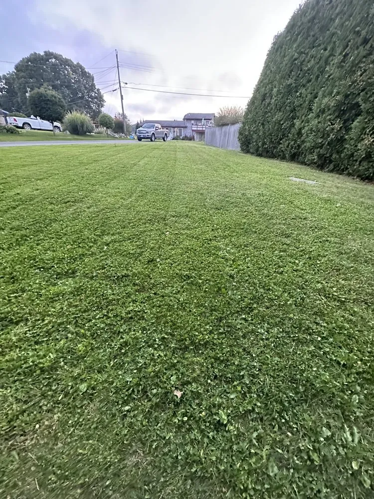 Reliable outdoor landscaping in Westerly, RI by Aldo Unlimited