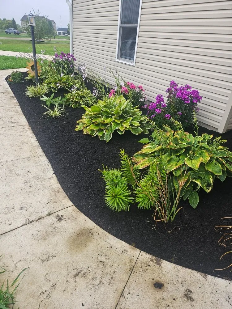 Expert lawn care service in New Paris, OH by AlDoo Property Maintenance