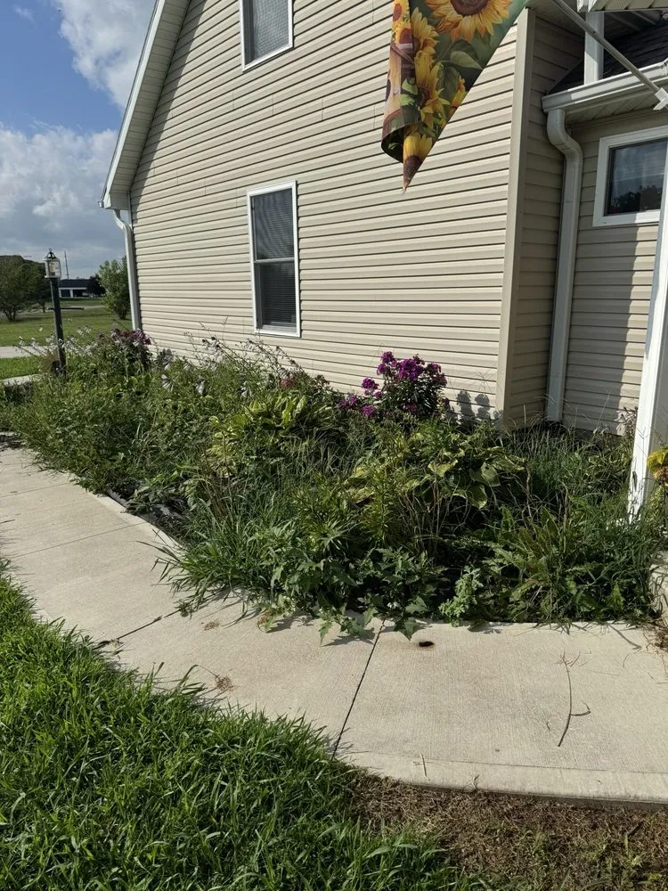 Top-rated lawn mowing service in New Paris, OH by AlDoo Property Maintenance