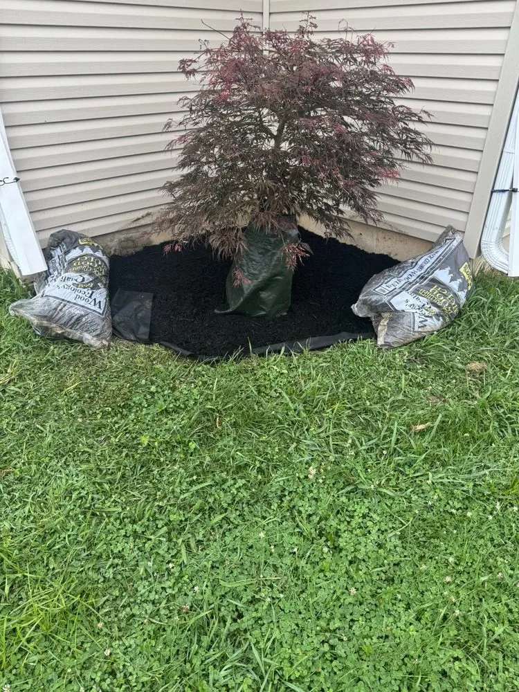 Reliable landscaping services near you in New Paris, OH by AlDoo Property Maintenance