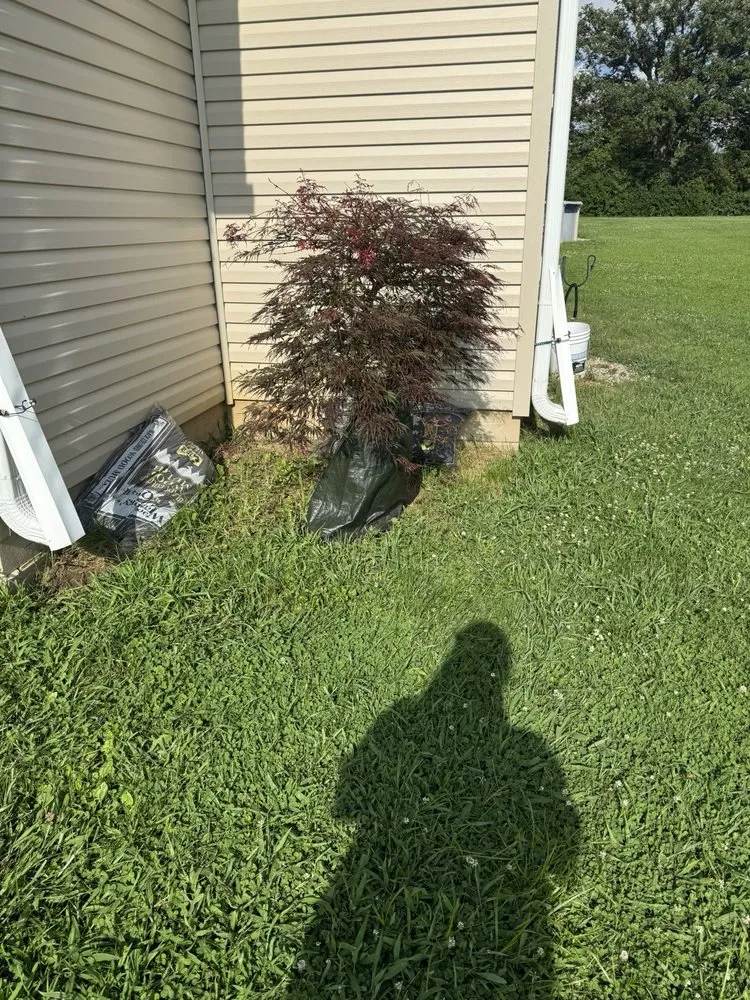 Expert landscape design for homes across New Paris, OH - AlDoo Property Maintenance