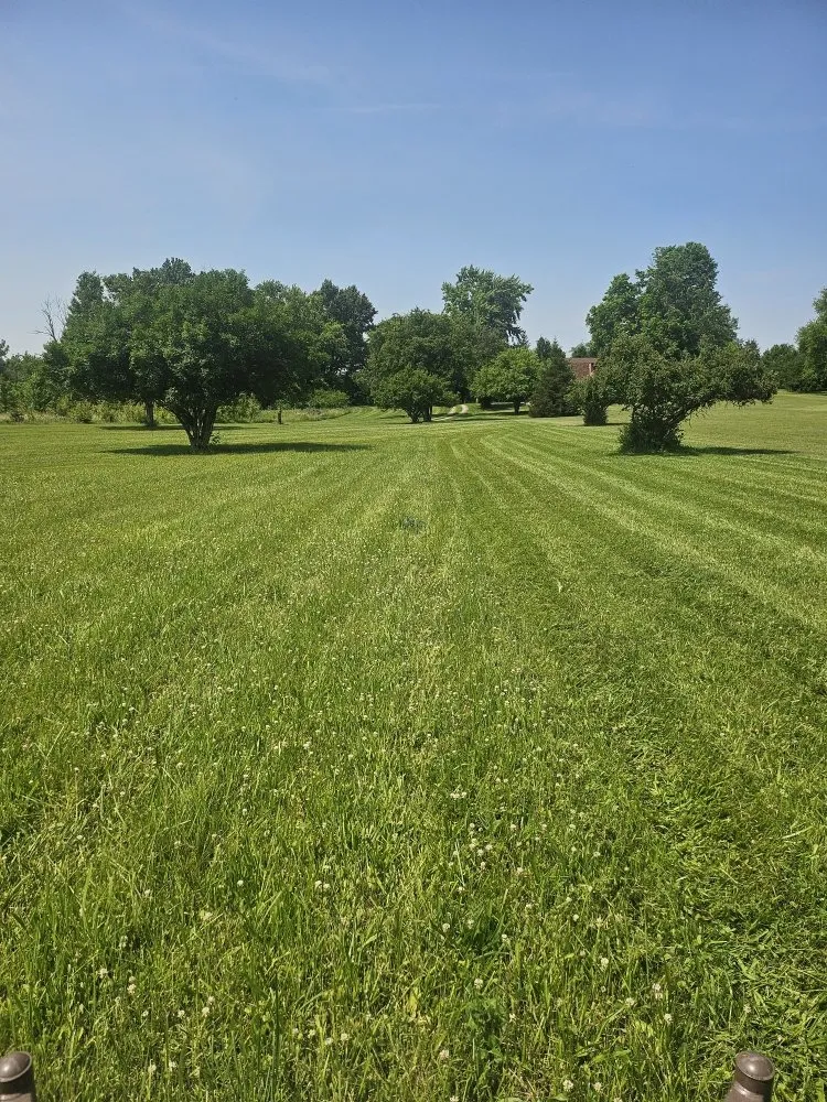 Expert lawn mowing service for year-round maintenance in New Paris, OH by AlDoo Property Maintenance