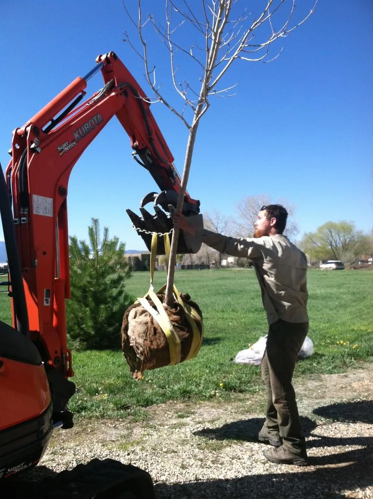 Custom lawn mowing service near you in Taos, NM by Aldo's Arbor