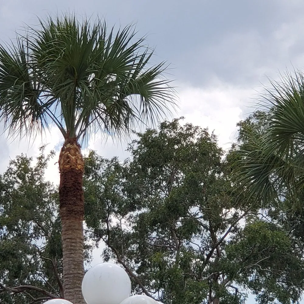 Affordable landscape installation for homes across Saint Petersburg, FL - Aldo's Lawn Service & Landscaping