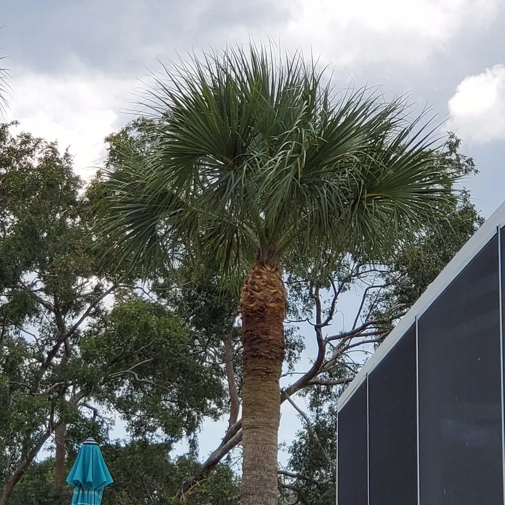 Reliable residential landscaping for outdoor upgrades across Saint Petersburg, FL - Aldo's Lawn Service & Landscaping