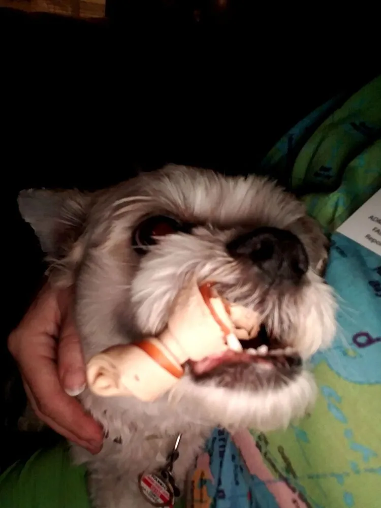 Top-rated lawn mowing service for homes across Saint Petersburg, FL - Aldo's Lawn Service & Landscaping