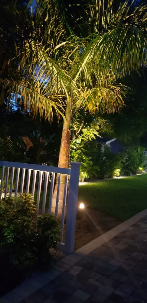 Affordable yard cleanup service in Saint Petersburg, FL - Aldo's Lawn Service & Landscaping