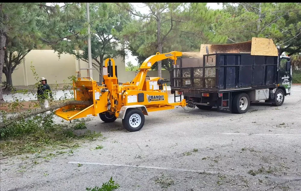 Expert yard cleanup service in Saint Petersburg, FL by Aldo's Lawn Service & Landscaping