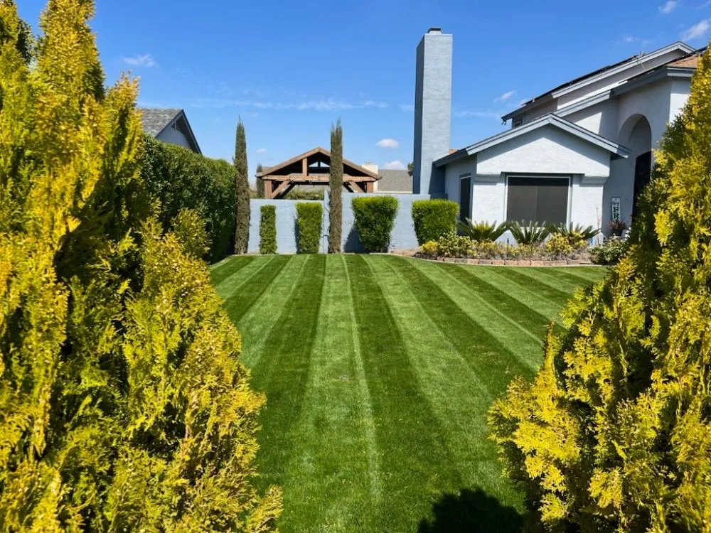 Professional garden landscaping in Surprise, AZ by Aldrete's Landscaping