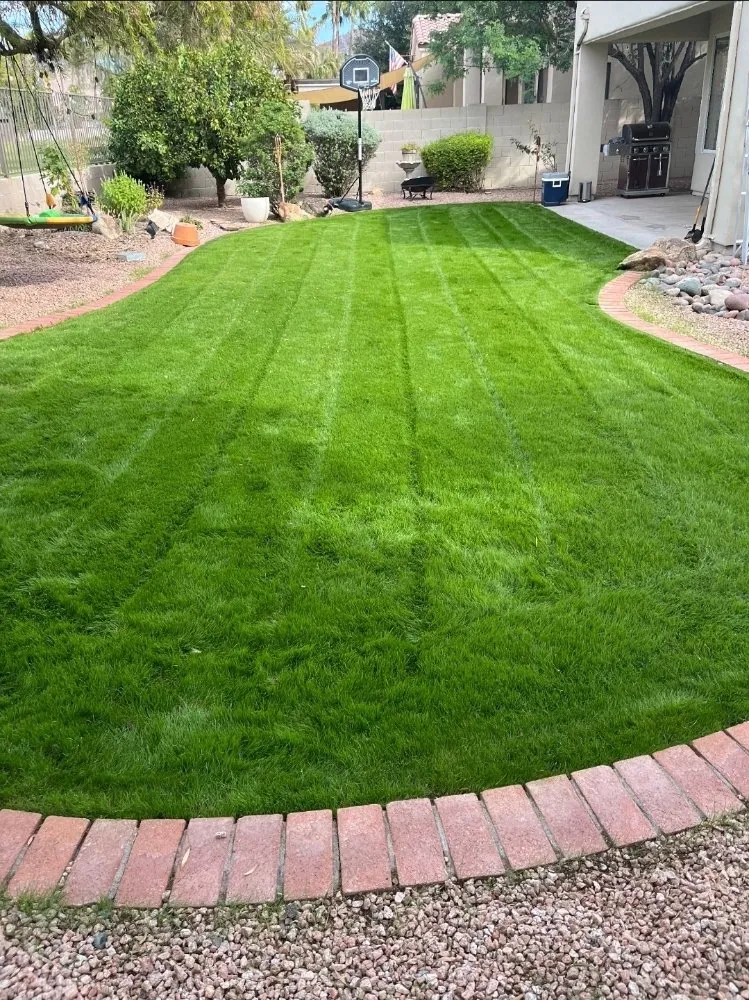 Trusted garden landscaping in Surprise, AZ by Aldrete's Landscaping