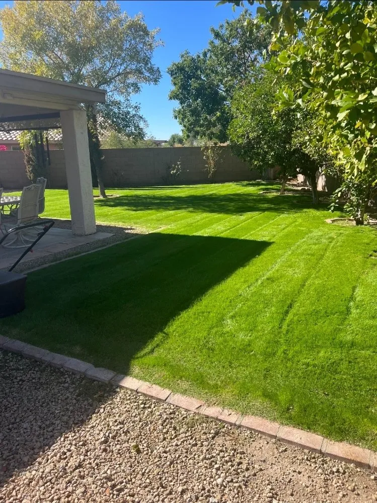 Reliable garden landscaping in Surprise, AZ - Aldrete's Landscaping