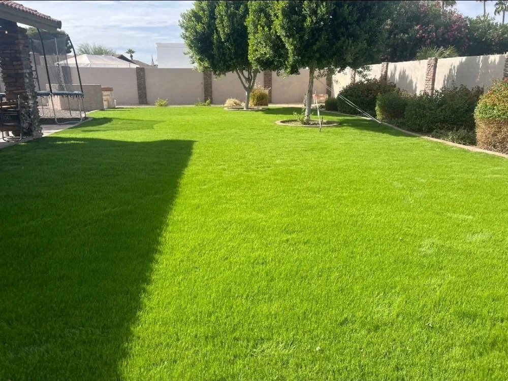 Professional landscaping services experts serving Surprise, AZ - Aldrete's Landscaping