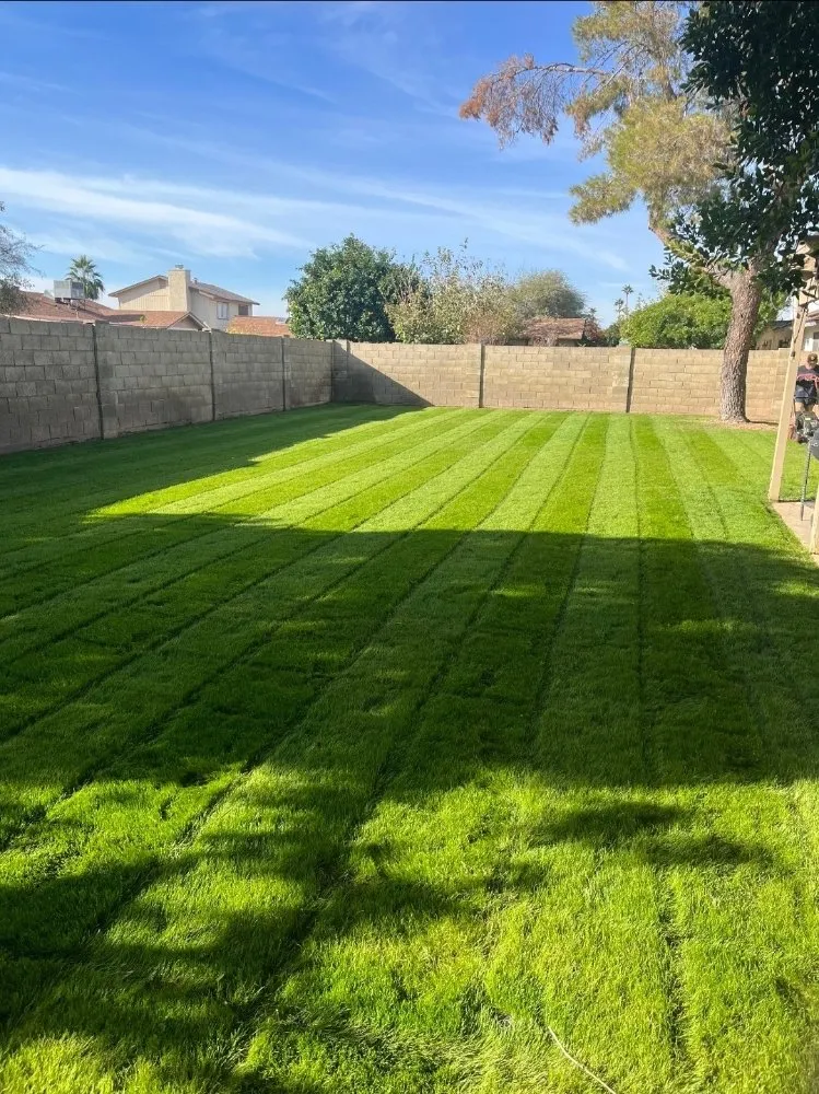 Affordable yard maintenance near you across Surprise, AZ - Aldrete's Landscaping