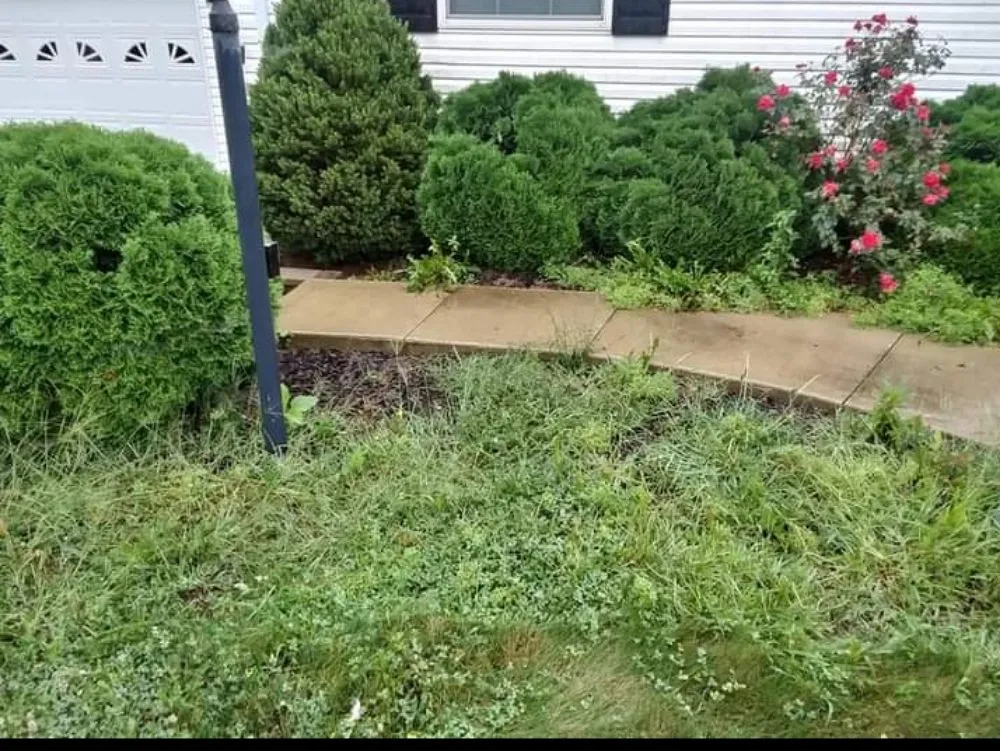 Professional landscape installation experts serving Newark, OH - Aldridge & Son's Lawn Care