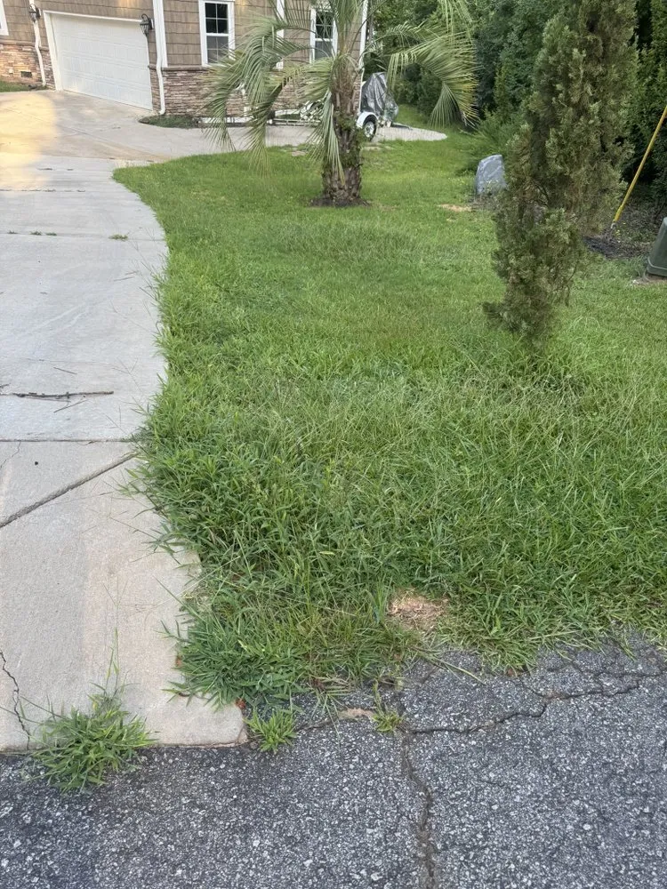 Expert landscaping services experts serving Elgin, SC - ALE Legacy Lawn & Wash