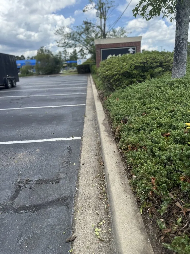 Trusted residential landscaping in Elgin, SC - ALE Legacy Lawn & Wash