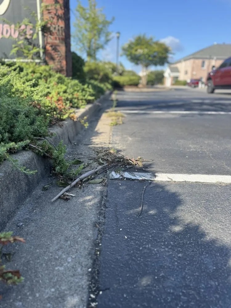 Local residential landscaping with custom design in Elgin, SC by ALE Legacy Lawn & Wash