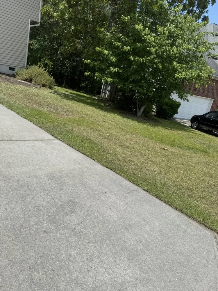 Professional yard cleanup service experts serving Elgin, SC - ALE Legacy Lawn & Wash