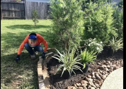 Local residential landscaping in Houston, TX by Aleaf Landscaping