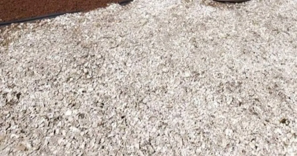 Reliable garden landscaping for beautiful yards in Marshfield, MA by Alecrim Landscaping And Hardscape