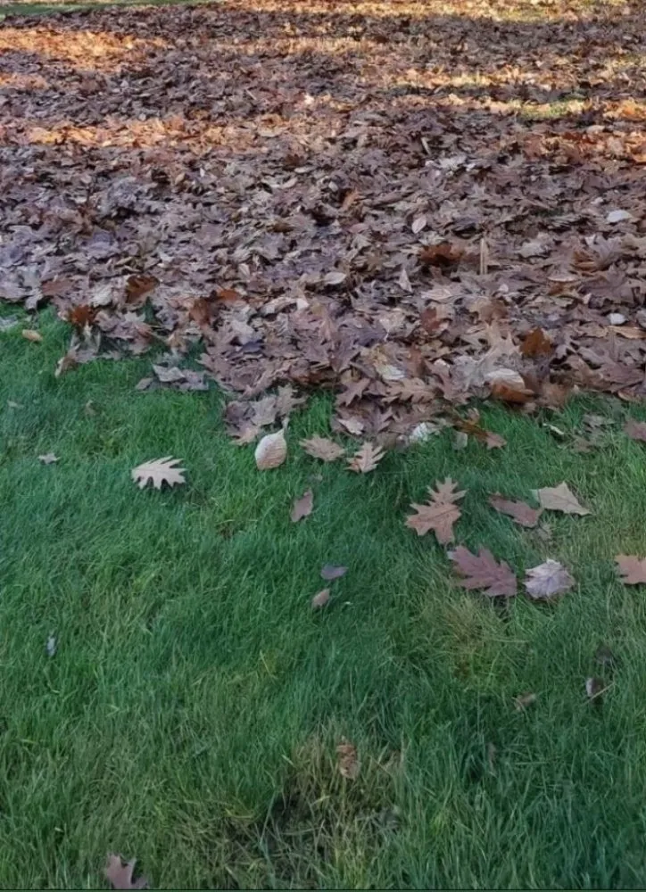 Custom outdoor landscaping for outdoor upgrades across Marshfield, MA - Alecrim Landscaping And Hardscape