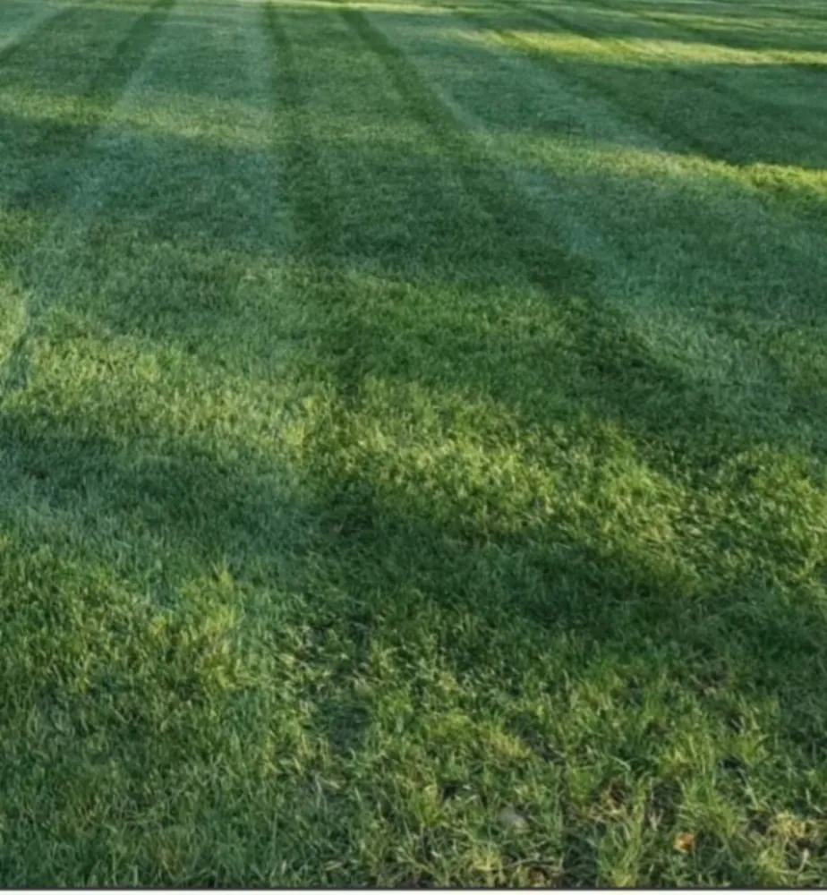 Local lawn mowing service for residential properties in Marshfield, MA by Alecrim Landscaping And Hardscape