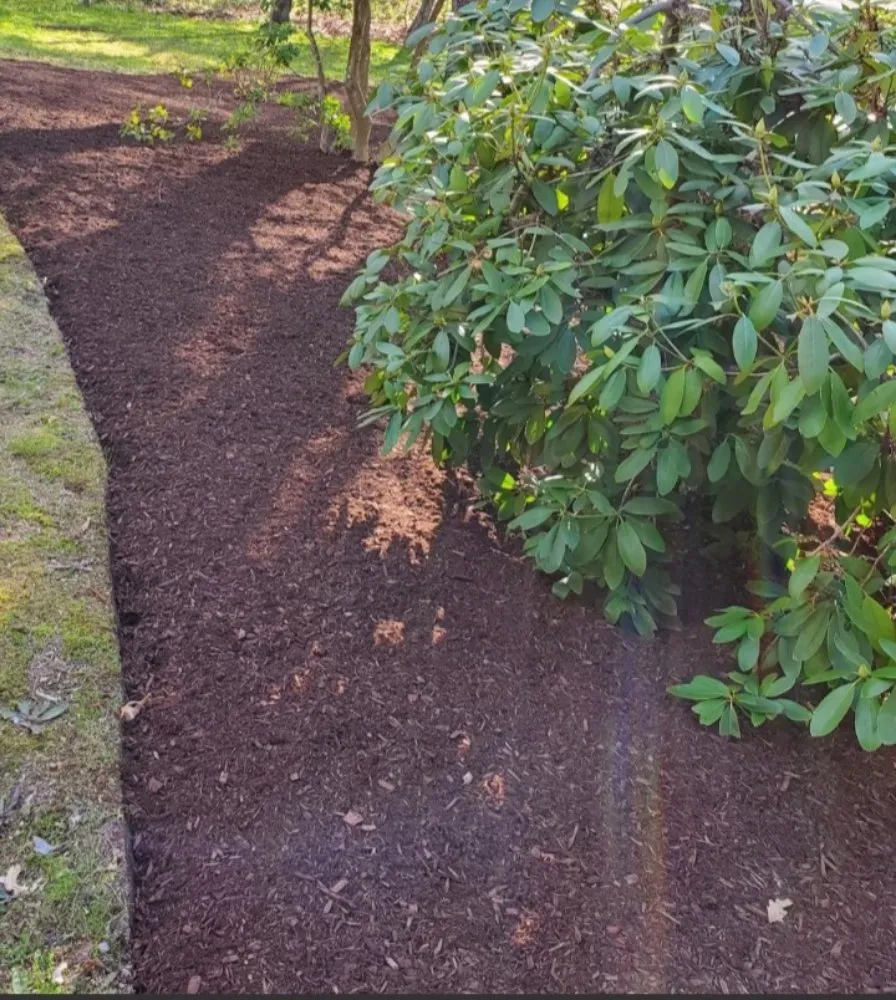 Top-rated lawn care service in Marshfield, MA - Alecrim Landscaping And Hardscape