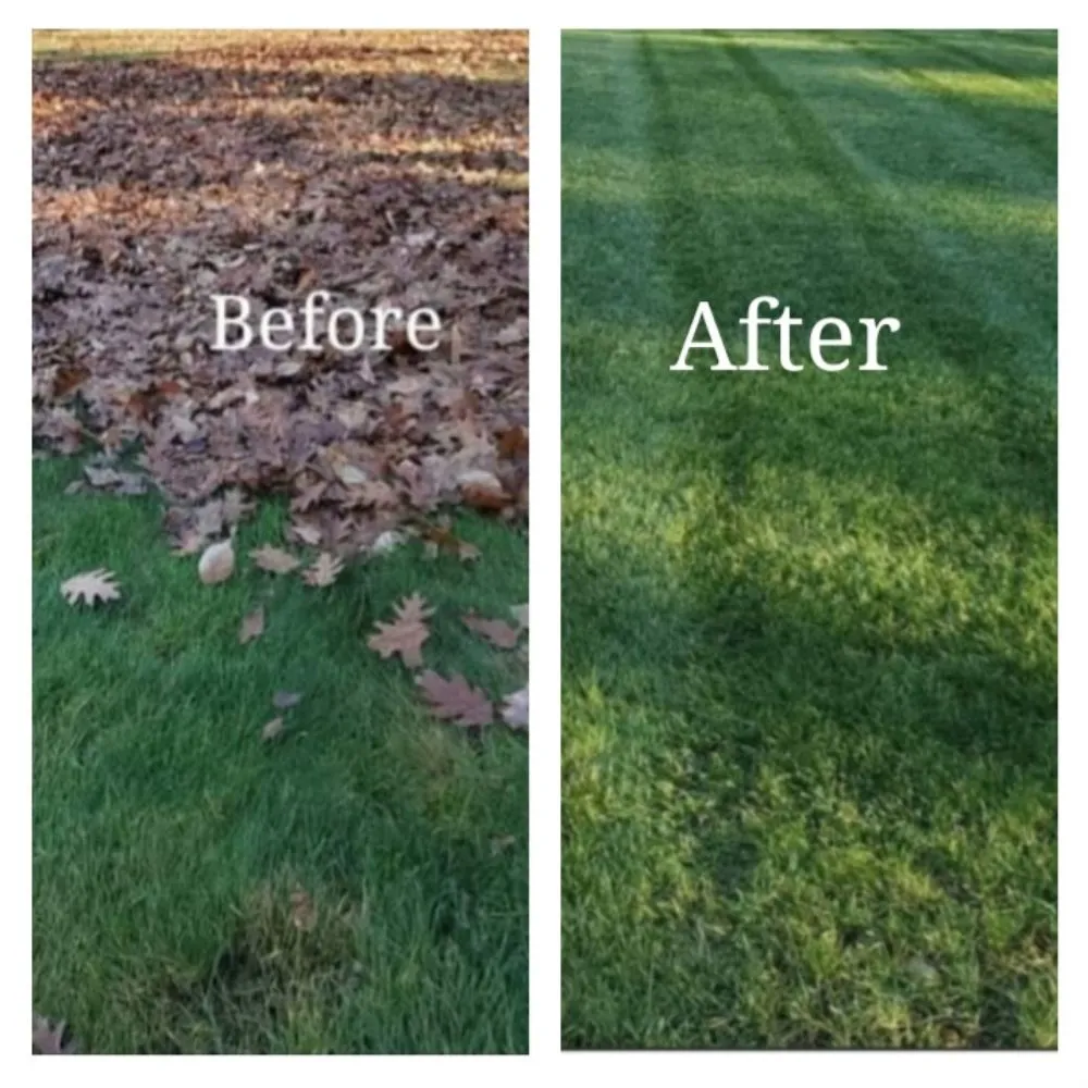 Expert yard cleanup service in Marshfield, MA - Alecrim Landscaping And Hardscape