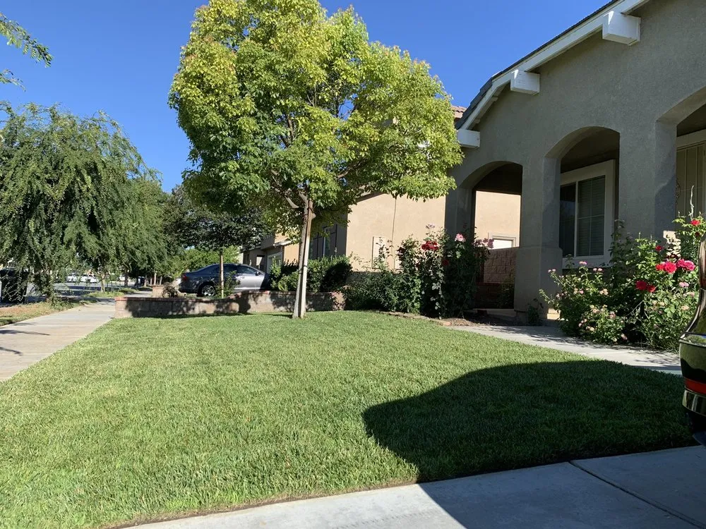 Trusted residential landscaping in Hemet, CA by Alee’s Lawn Care