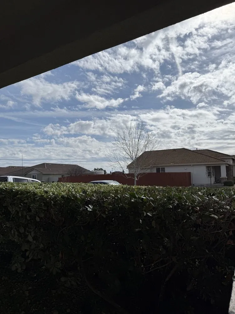 Affordable yard maintenance in Lincoln, CA by Alegres Landscaping