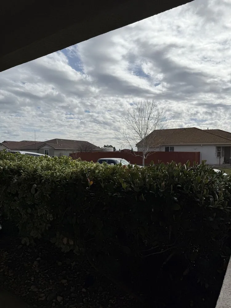 Top-rated outdoor landscaping in Lincoln, CA by Alegres Landscaping