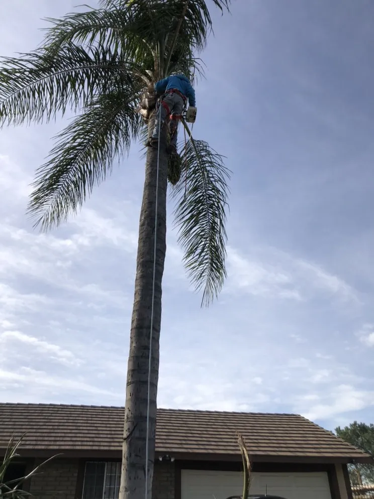 Reliable garden landscaping near you across Moreno Valley, CA - Alegria’s Landscaping