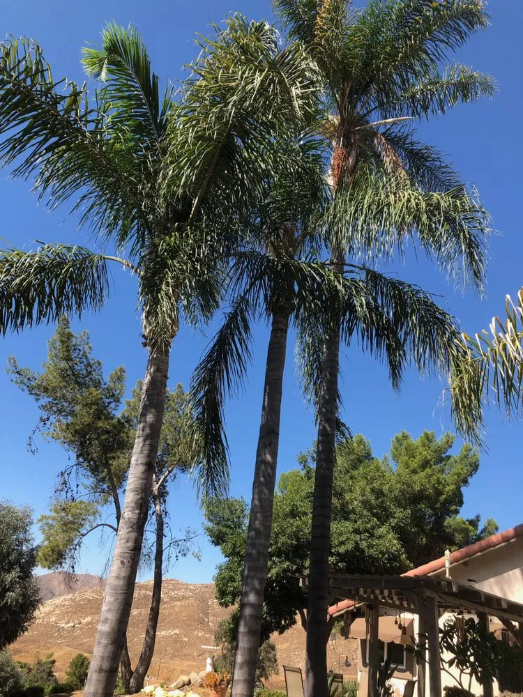 Professional outdoor landscaping experts serving Moreno Valley, CA - Alegria’s Landscaping