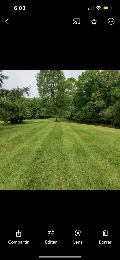 Professional lawn mowing service experts serving Peekskill, NY - Alegria's Landscaping Services