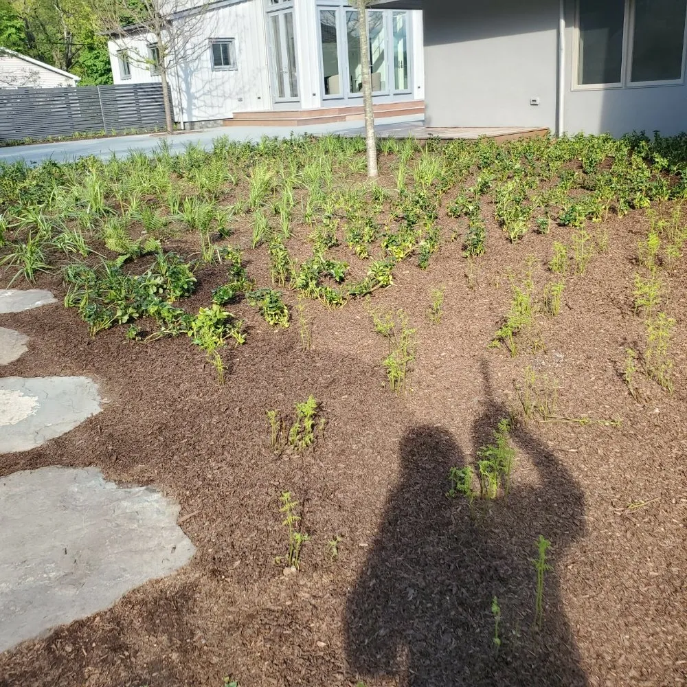 Professional yard maintenance for beautiful yards across Peekskill, NY - Alegria's Landscaping Services