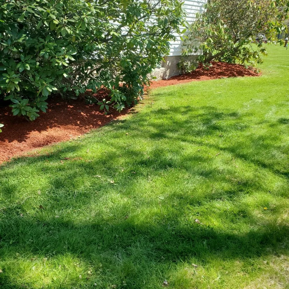 Expert lawn care service in Peekskill, NY by Alegria's Landscaping Services