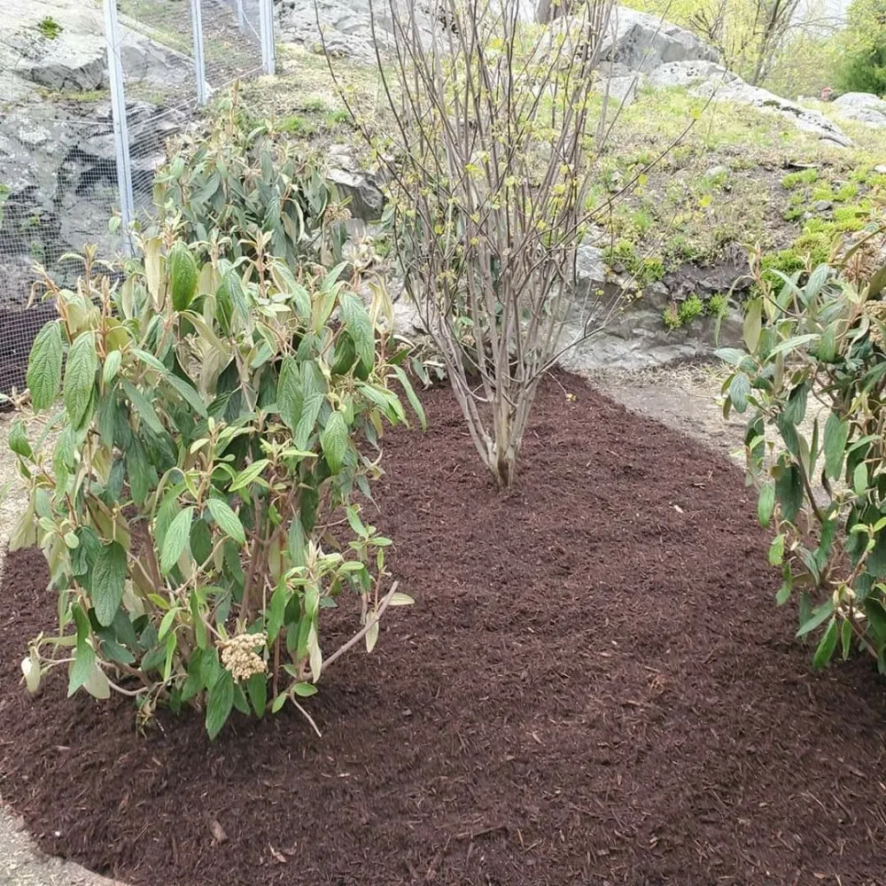 Expert yard cleanup service with custom design in Peekskill, NY by Alegria's Landscaping Services