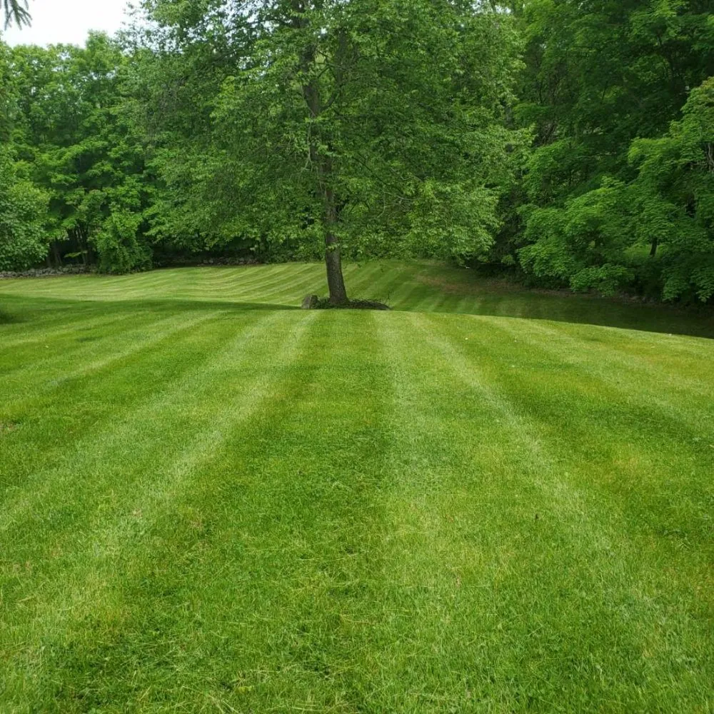 Custom landscaping services for residential properties across Peekskill, NY - Alegria's Landscaping Services